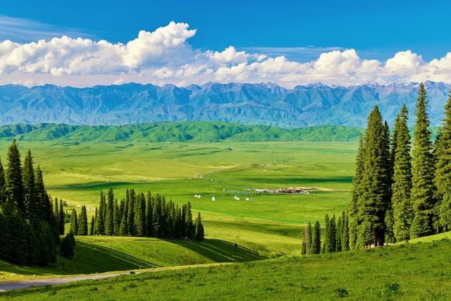 2026新車牌改革_8位號(hào)牌分類標(biāo)識(shí)_限行