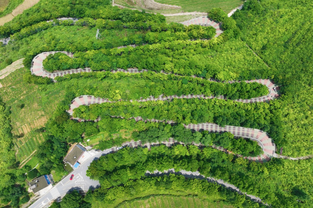 出行提示_農(nóng)村道路交通安全提示_駕駛?cè)顺鲂邪踩?/></p></div>
    <div   id="gzzodrt"   class="clearfix"></div>
        <h5 class="post-tags"><span id="gzzodrt"    class="glyphicon glyphicon-tags"></span> <a href="http://www.ipma-canada.com/tags-7357.html" title="農(nóng)村交通安全">農(nóng)村交通安全</a><a href="http://www.ipma-canada.com/tags-2648.html" title="交通安全提示">交通安全提示</a><a href="http://www.ipma-canada.com/tags-8805.html" title="駕駛?cè)税踩?>駕駛?cè)税踩?/a><a href="http://www.ipma-canada.com/tags-6889.html" title="行人安全">行人安全</a><a href="http://www.ipma-canada.com/tags-8806.html" title="黔江交警">黔江交警</a></h5>
        <div   id="gzzodrt"   class="alert alert-info p-copyright" role="alert">
        <p> 本站文章除注明轉(zhuǎn)載/出處外，均為本站原創(chuàng)或翻譯。若要轉(zhuǎn)載請務(wù)必注明出處，尊重他人勞動成果共創(chuàng)和諧網(wǎng)絡(luò)環(huán)境。 </p>
        <p> 轉(zhuǎn)載請注明 : 文章轉(zhuǎn)載自 ?<a href="http://www.ipma-canada.com/" rel="bookmark" title="作者：admin"> 途訊交通網(wǎng) </a>?<a href="http://www.ipma-canada.com/txfl-3.html" rel="bookmark" title="網(wǎng)站分類：出行攻略與工具"> 出行攻略與工具 </a> ?<a href="http://www.ipma-canada.com/tx/13597.html" rel="bookmark" title="本文固定鏈接：http://www.ipma-canada.com/tx/13597.html"> 10月16日黔江民警做客欄目解讀農(nóng)村道路交通安全要點(diǎn) </a> </p>
    </div>
    <div   id="gzzodrt"   class="clearfix"></div>
    <ul class="post-share-tools">
        <li><a href="javascript:;" class="share-tools praise" xv=