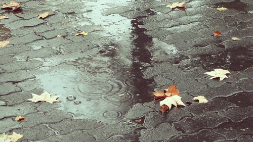 雨霧天氣安全駕駛指南_雨天行車(chē)安全提示_出行提示