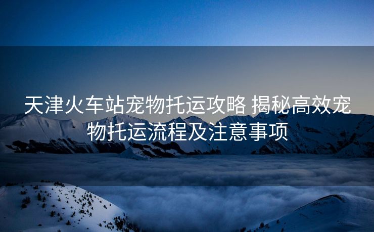 天津火車站寵物托運(yùn)攻略 揭秘高效寵物托運(yùn)流程及注意事項(xiàng)
