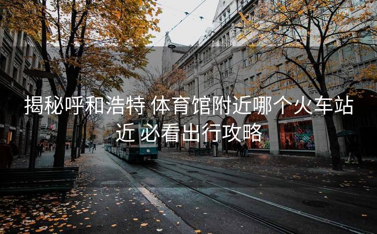 揭秘呼和浩特 體育館附近哪個(gè)火車站近 必看出行攻略