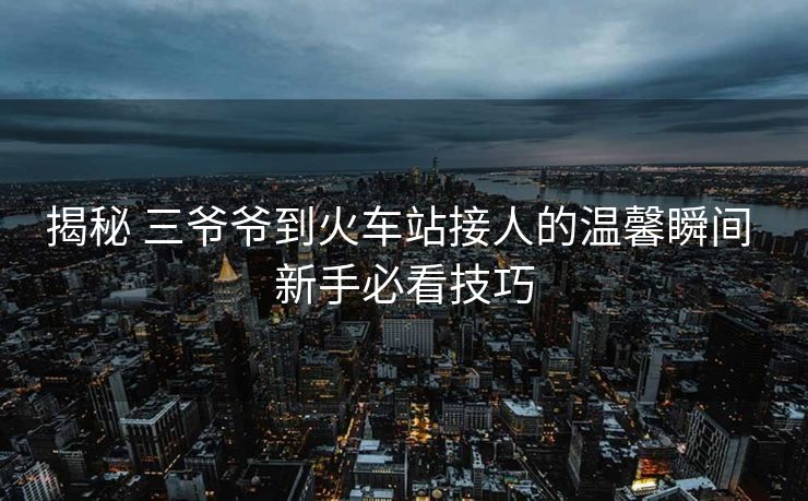 揭秘 三爺爺?shù)交疖囌窘尤说臏剀八查g 新手必看技巧