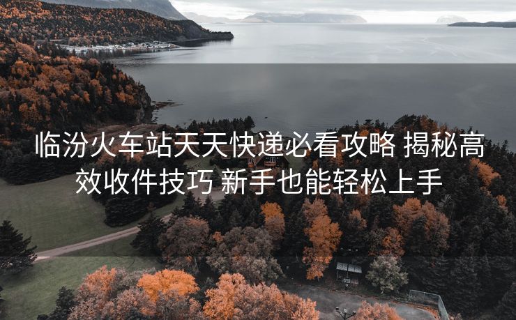 臨汾火車站天天快遞必看攻略 揭秘高效收件技巧 新手也能輕松上手