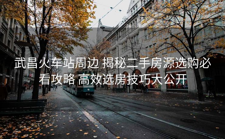 武昌火車站周邊 揭秘二手房源選購必看攻略 高效選房技巧大公開