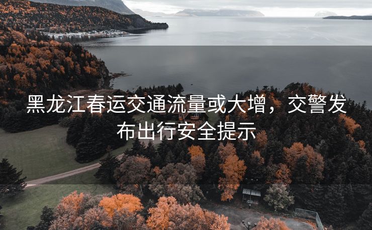 黑龍江春運交通流量或大增，交警發(fā)布出行安全提示