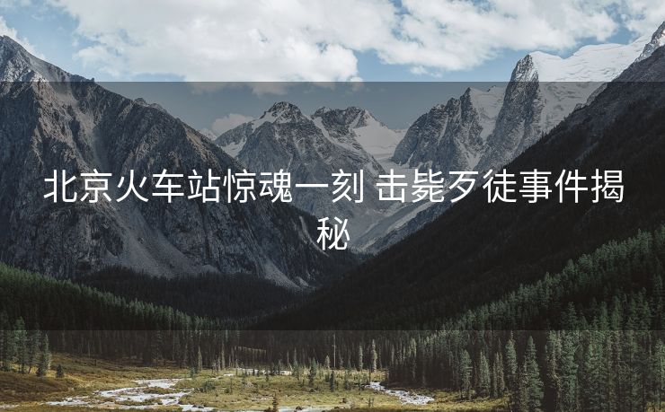 北京火車站驚魂一刻 擊斃歹徒事件揭秘