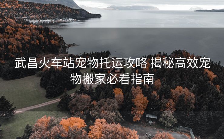 武昌火車站寵物托運(yùn)攻略 揭秘高效寵物搬家必看指南