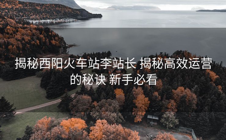 揭秘西陽火車站李站長 揭秘高效運(yùn)營的秘訣 新手必看