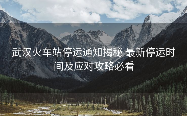 武漢火車(chē)站停運(yùn)通知揭秘 最新停運(yùn)時(shí)間及應(yīng)對(duì)攻略必看