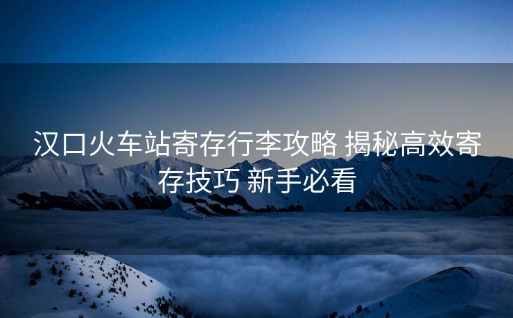 漢口火車站寄存行李攻略 揭秘高效寄存技巧 新手必看